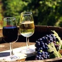 Володимир КУЧЕРЕНКО:«Столове вино в Україні потрібно зарахувати до продуктів харчування»