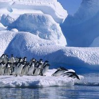 Хто і як живе в Антарктиді