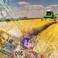 Аграрні розписки: перспективи в Україні