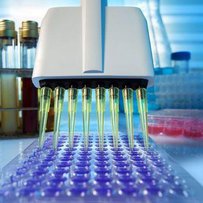  Вірус виявляє апарат перевірки на вміст ГМО