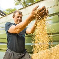 На Харківщині завершили жнива ранніх зернових