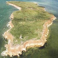 На острові Березань археологи знайшли монети, які чеканили в Ольвії