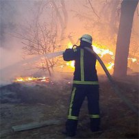 На Луганщині знову вирують пожежі
