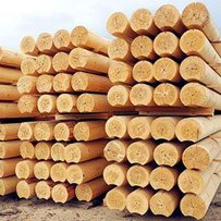 Деревопереробники потребують контрактування лісосировини