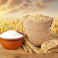 Чи вистачить продовольчої пшениці для випікання хліба?