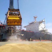 Експорт зерна: блокування портів загрожує глобальним голодом