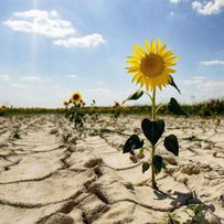 АПК: нові підходи