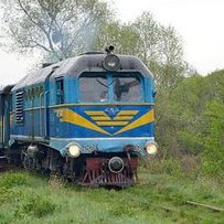 Автентична вузькоколійка має жити!