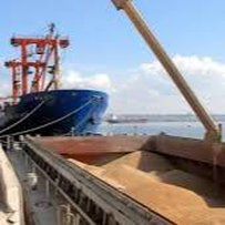 Рекордні 195,7 тисячі тонн на одному судні експортували з порту «Південний»