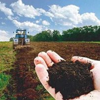 Уряд затвердив Порядок проведення моніторингу земель і ґрунтів