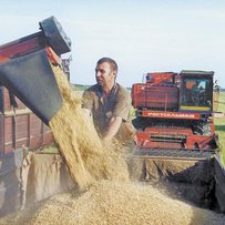 В Україні вже намолочено понад 31,9 млн тонн зернових та олійних