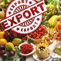 Експортну спроможність дунайського регіону слід посилювати