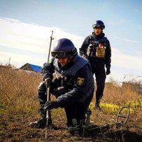Оголошені перші торги на розмінування агроземель за цьогорічними заявками фермерів