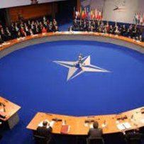 Про важливу роль Парламентської асамблеї НАТО