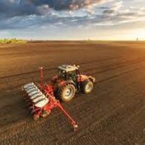 Аграрії збільшують площі під ярою пшеницею