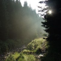 Управління відходами, водними ресурсами та євроінтеграція: посилення співпраці зі Швецією у сфері захисту довкілля
