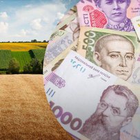 Земельні аукціони наповнюють бюджети 