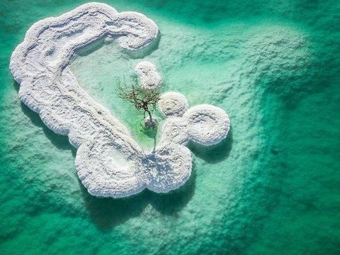 Унікальні фото Мертвого моря, які нагадують людські органи