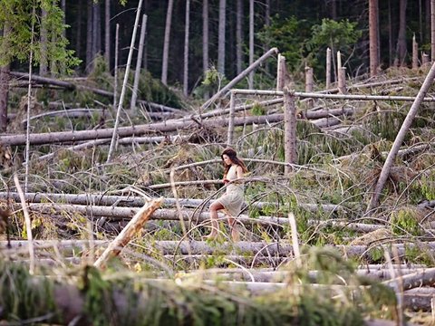 Руслана знялася у дивовижній фотосесії на захист карпатських лісів
