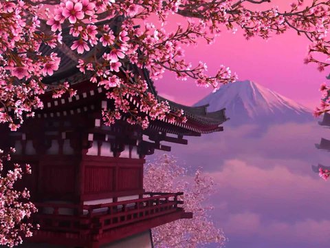 В Японії раніше зацвіла сакура. Такого дива не було 1200 років