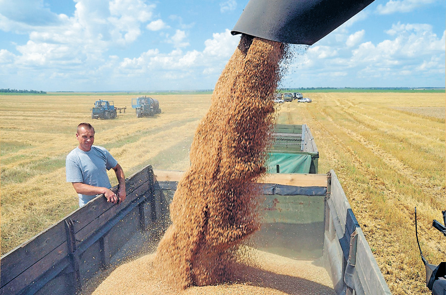 Гордість регіону — три мільйони тонн зерна. Фото УНIAН