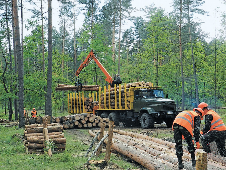 Ліси не вирубують будь-де: плани рубок ґрунтуються на даних лісовпорядкування. Фото з сайту lesovod.org.ua