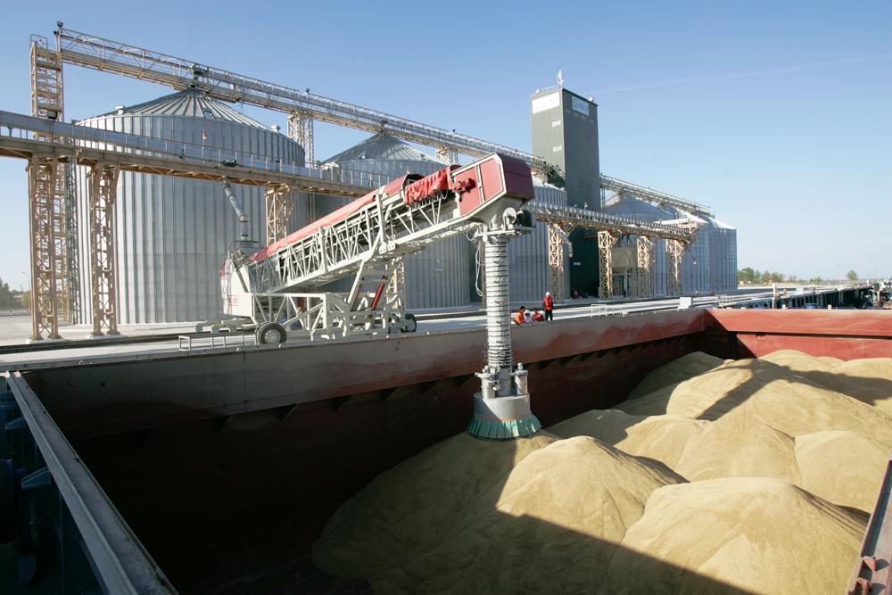 Значне зростання виробництва зернових дає змогу нарощувати кормову базу для тваринництва. Фото з сайту sdelanounas.ru