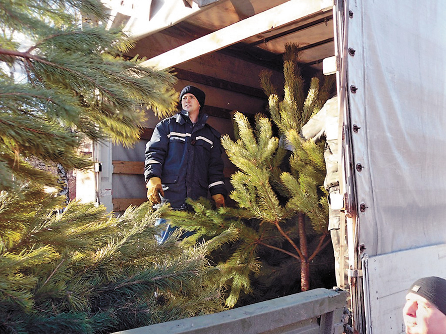 Разом з харчами новорічні деревця додадуть  людям оптимізму. Фото з сайту mignews.com.ua