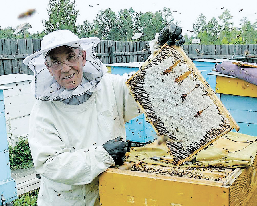 Україна — лідер з виробництва, а не споживання меду. Фото з сайту pchela-bee.info