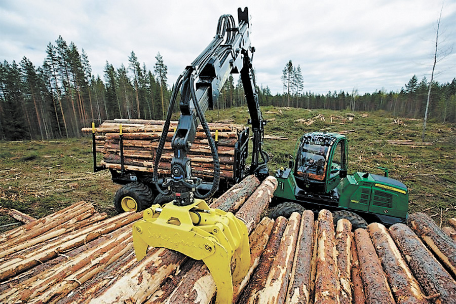Планова лісозаготівля може завдати чималої шкоди довкіллю та економіці краю. Фото надане автором