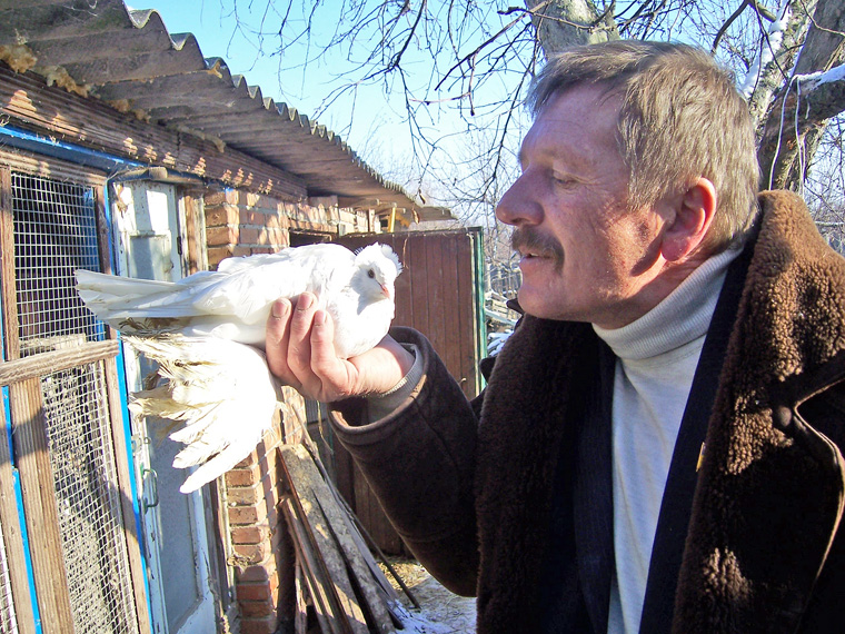 Для начальника управління агропромислового розвитку Решетилівської райдержадміністрації Володимира Маслюка голуби — не хобі, він біля них відпочиває душею.