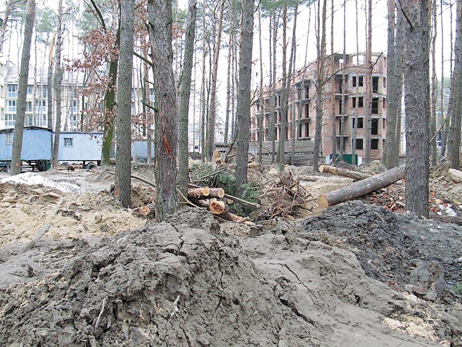 Варварська забудова нищить приміські ліси. Фото Володимира ЗAЇКИ
