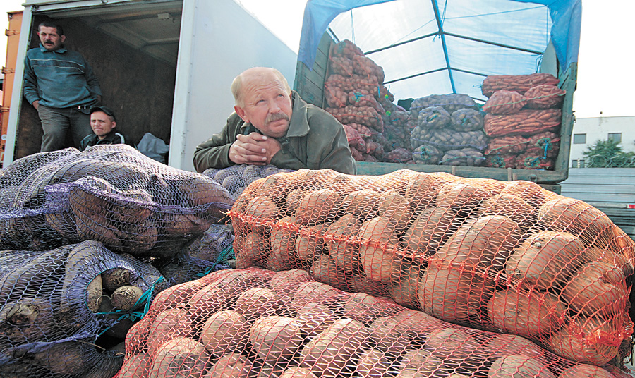 На Луганщині виростили добрий врожай картоплі, можуть навіть поділитися. Фото Юрія САПОЖНІКОВА