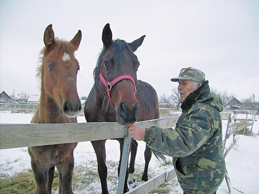 Тренер кіннотників Валерій Кучеренко пригощає коней морквою. Фото автора