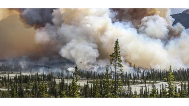 Фотографом року стала Сара Ліндстром із знімком лісової пожежі у Канаді. 