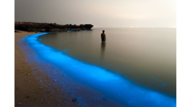 Пуян Шадпур зняв це фото під час прогулянки на березі іранського озера Ларак: «Магічне світло планктону ... зачарувало мене так, що я зробив цей кадр».