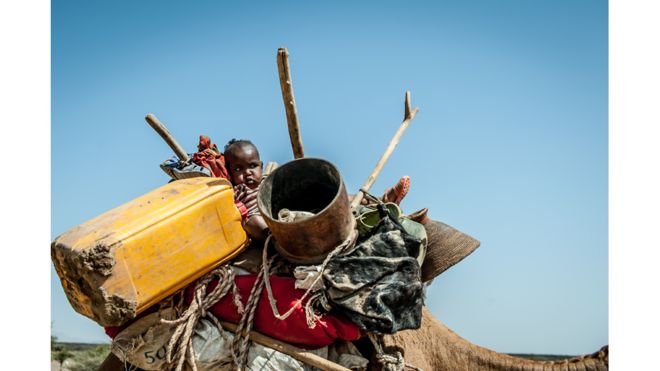 Родина кочівників в Ефіопії вирішила переселитись ближче до річки на тлі найгіршої за останні 50 років посухи в країні. 