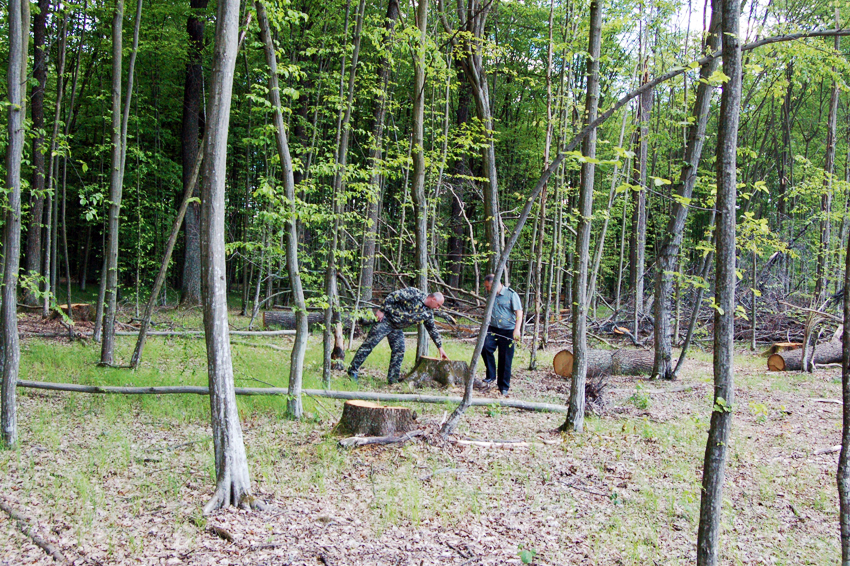 Фото прес-служби Житомирського обласного управління лісового і мисливського господарства