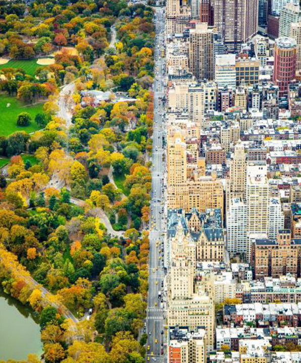 Чітка лінія між Центральним парком та будівлями у Нью-Йорку, США