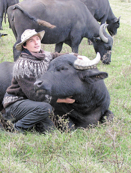 Мішель Якобі впевнений, що буйволи приживуться у Придунав’ї, як це відбулося в Карпатах. Фото автора