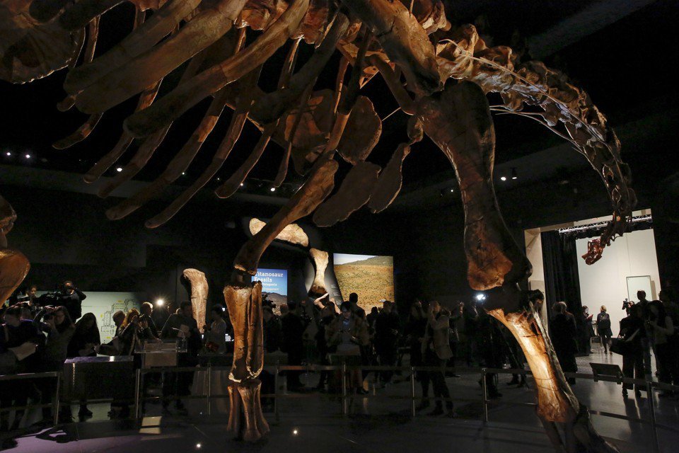 Вага титанозавра 76 тонн. Космічний човник важить менше