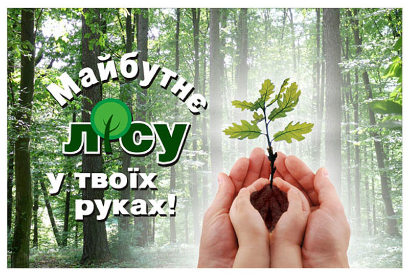 Фото з сайту sumylis.sumy.ua