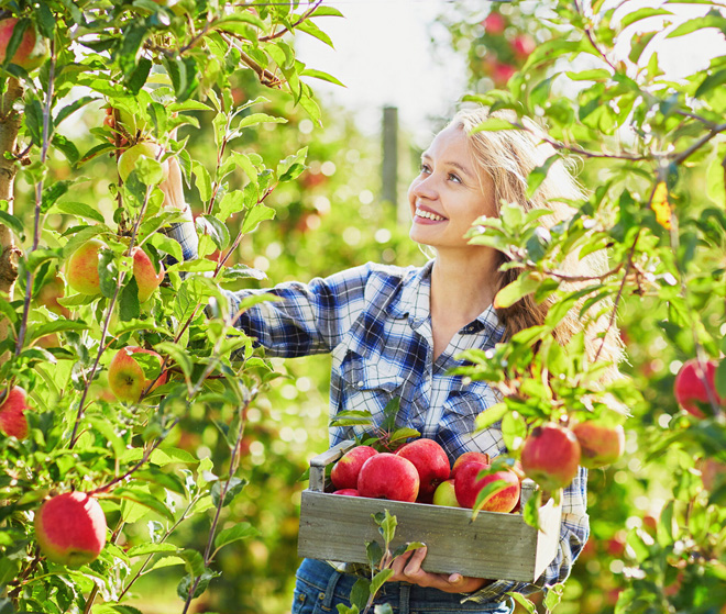 Таку щасливу усмішку можна заробити на яблуках і в Україні. Фото з сайту desired.de