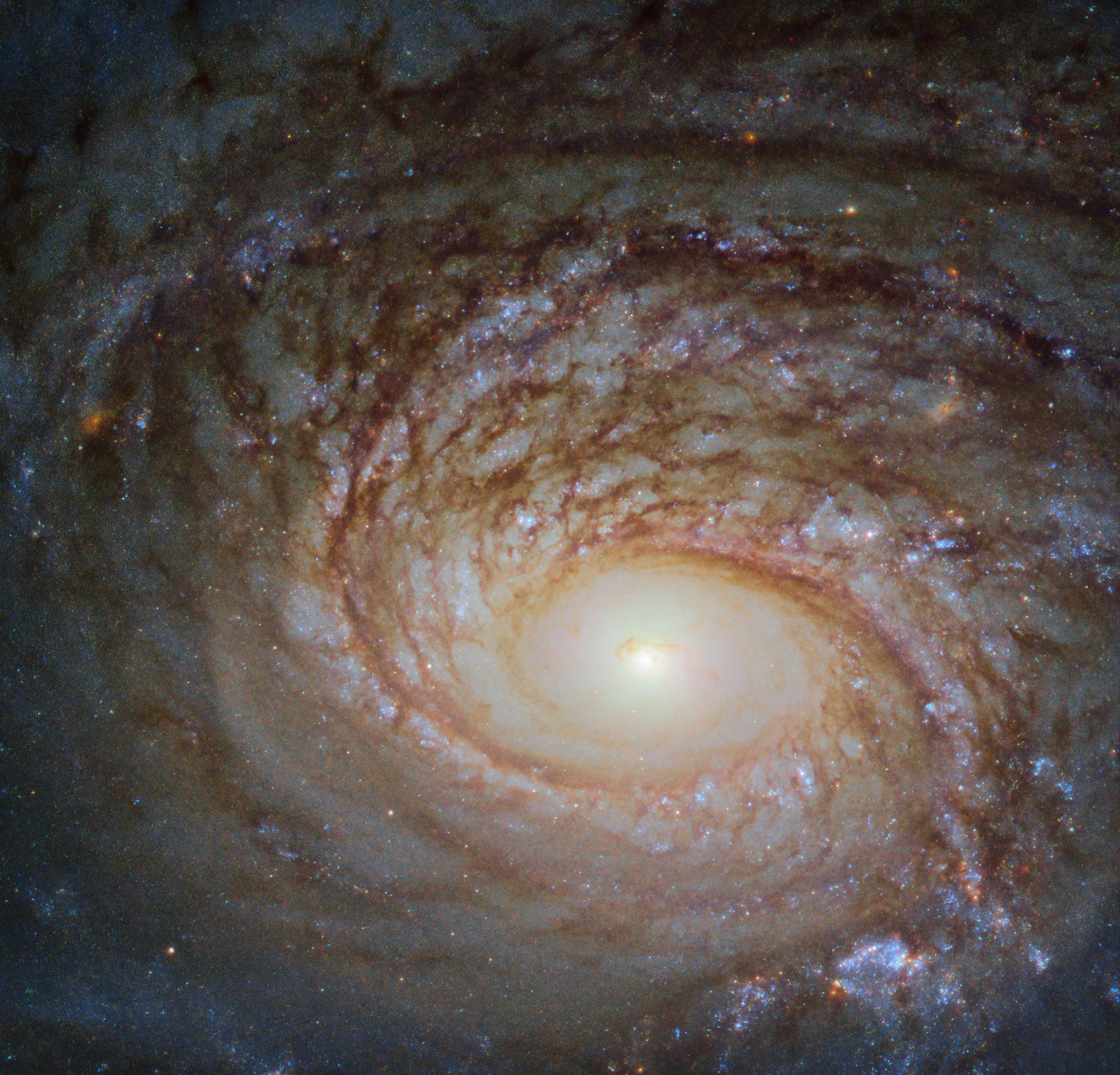 Спіральна галактика під назвою NGC 772