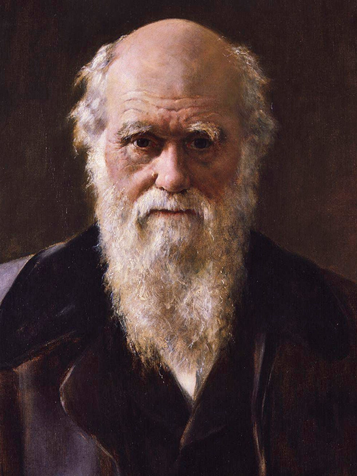 Теолог за освітою Чарльз Дарвін, усупереч домислам атеїстів, ніколи не стверджував, що людина походить від мавпи, а тільки вважав, що в них спільні предки