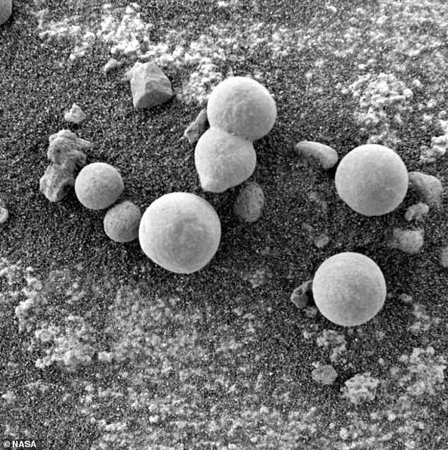 Об'єкти на фото, які зафіксував Curiosity, схожі на гриби, вони ростуть на поверхні безплідної планети. Фото NASA.