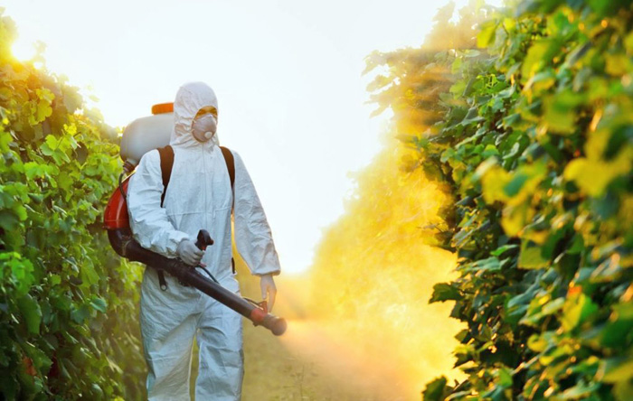 Держава має заборонити фермерам застосовувати отруту, яка вбиває українську землю і шкодить живим організмам. Фото з сайту doglyad-za-roslynamy.com.ua