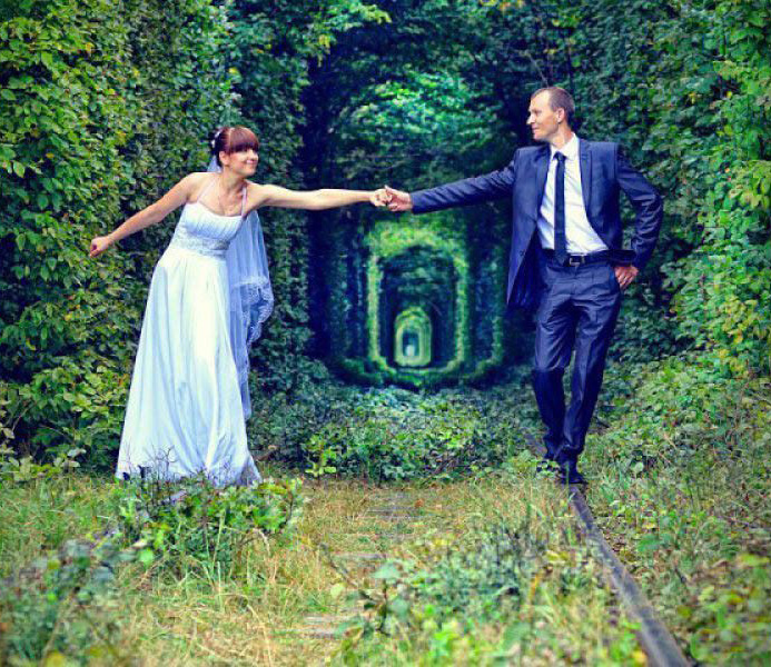 Тунель кохання — один із найпривабливіших туристських об’єктів Рівненщини. Фото з сайту anga.ua