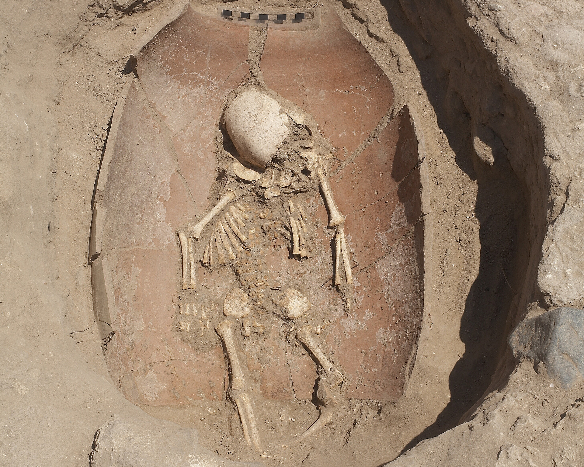 Немовля, похованена филистимському кладовищі © Ilan Sztulman. Courtesy Leon Levy Expedition to Ashkelon