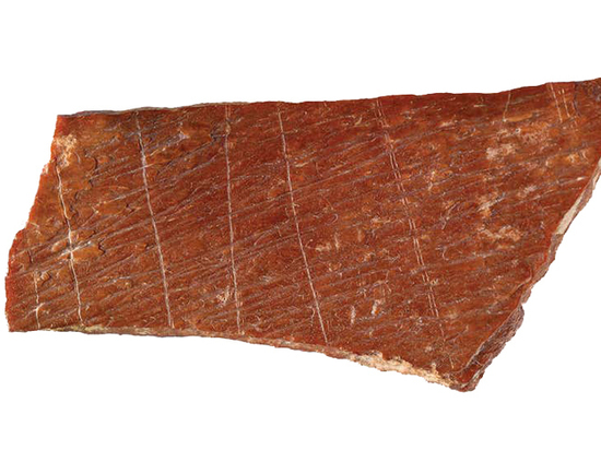 Палеонтологи знайшли кістки з одними з найдавніших малюнків Фото: cambridge.org